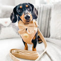 The Spotted Dog Company Champagne Velvet Sailor  Bow Tie
