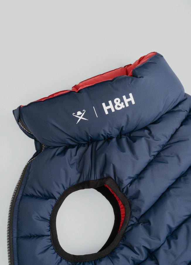 Hackett X Hugo Hudson Dog Puffer Jacket - Navy &amp; Berry M45