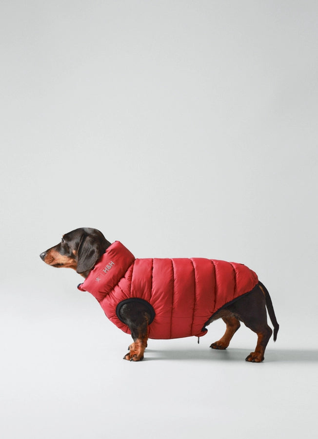 Hackett X Hugo Hudson Dog Puffer Jacket - Navy & Berry XS30