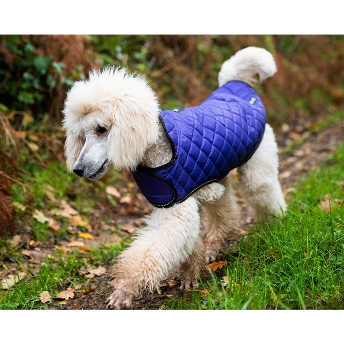 Henry Wag Purple Quilted Dog Jacket Extra Large 65cm