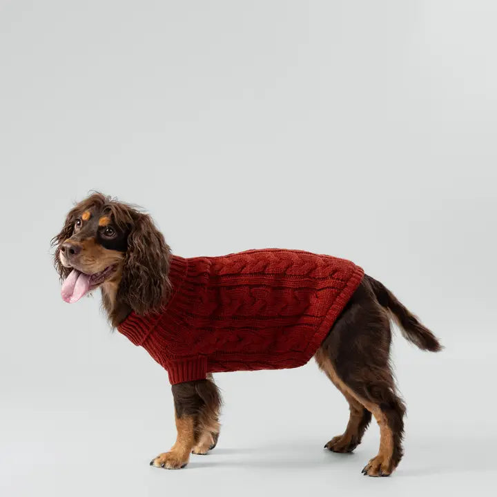 Hackett X Hugo Hudson Cable Knit Pullover Dog Jumper - Brick XS