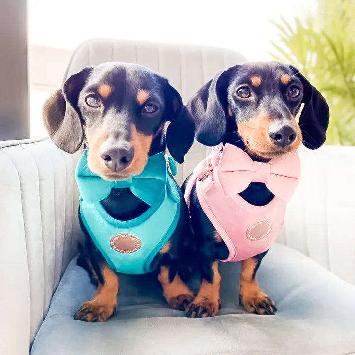 The Spotted Dog Company Jade Velvet Sailor Bow Tie