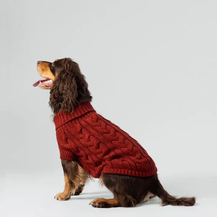 Hackett X Hugo Hudson Cable Knit Pullover Dog Jumper - Brick S