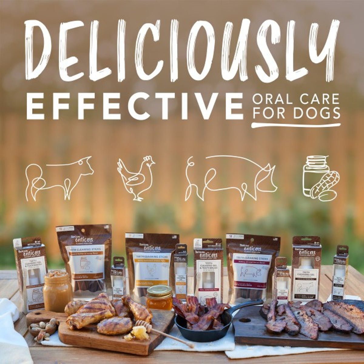 TropiClean Enticers Dental Ball Kit for Medium Dogs Smoked Beef Brisket