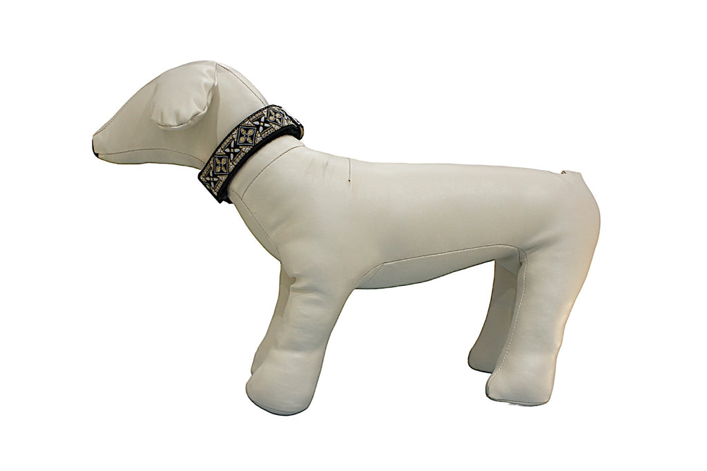 Clip on Dog Collar Gold Multicolour 1"