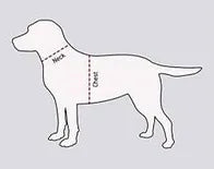 Bertie & Co Dog Harness,  Leopard Print Size: M