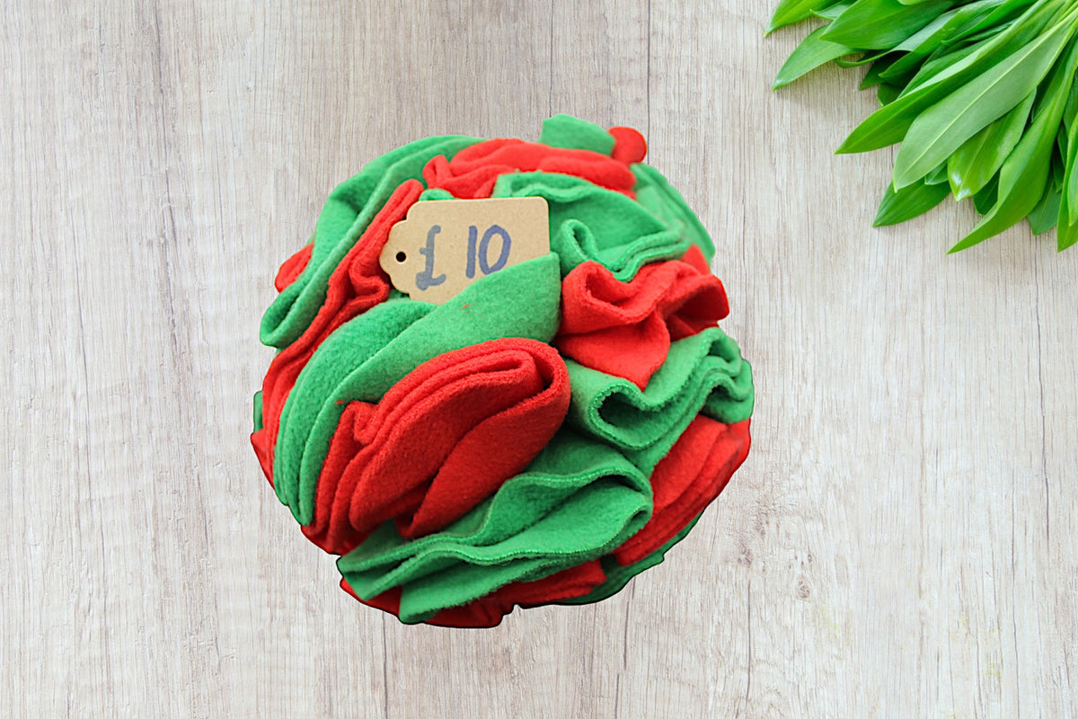 Sniff Ball Toy green & red Big