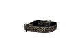 Clip on Dog Collar Gold Multicolour 1"
