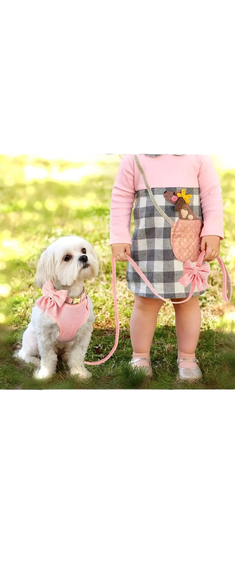 Soft Dog Harness, Lead, Collar & Bow Lilac M